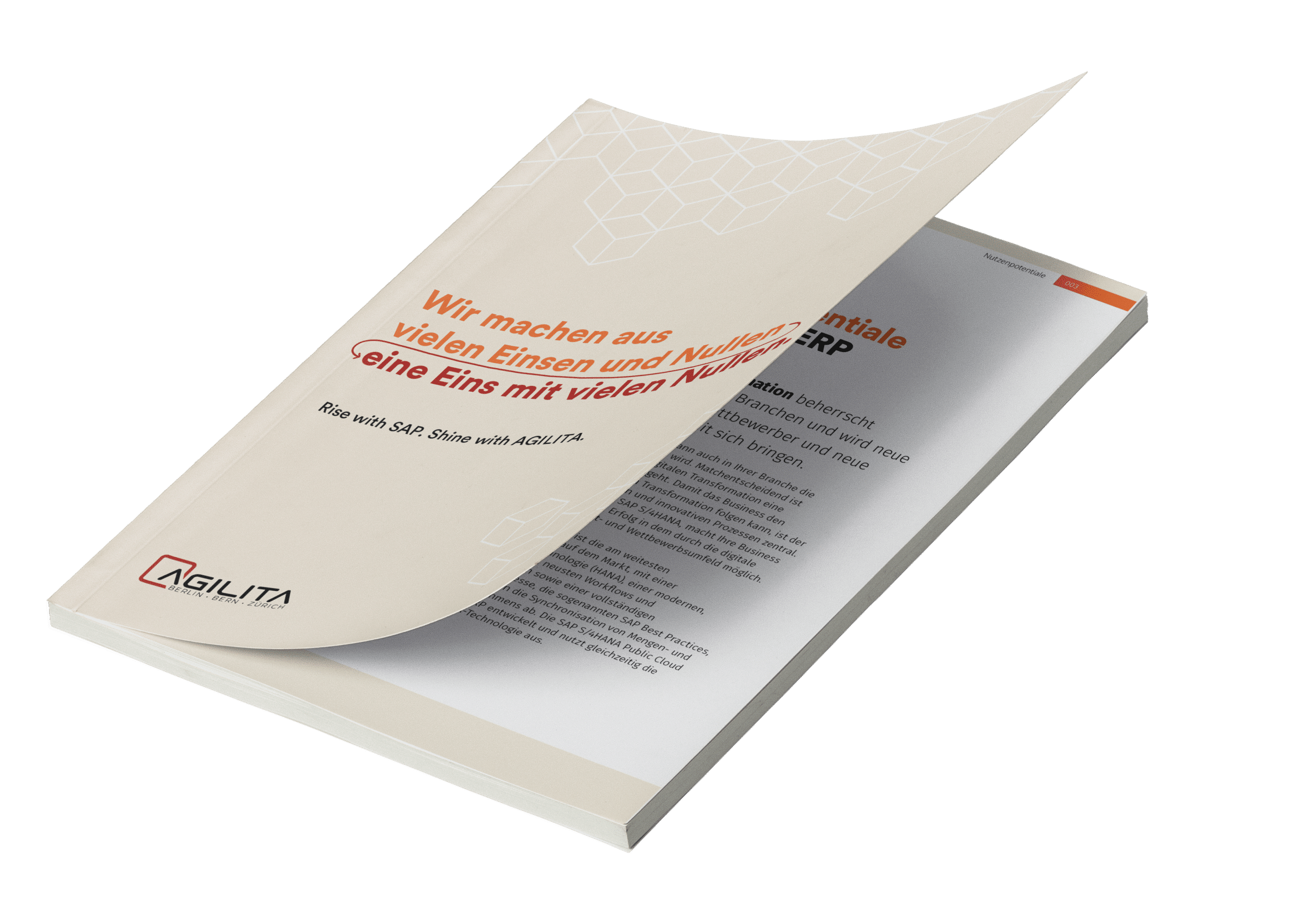 Whitepaper CFO